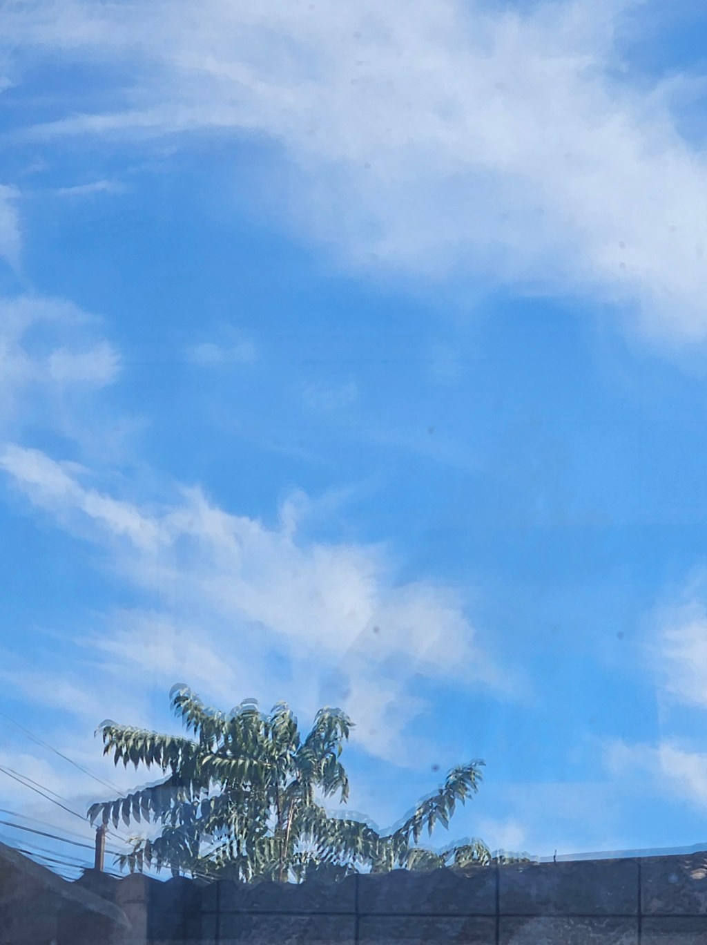 Thus Spoke Color&nbsp;Blue